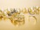Posh Pawnbrokers